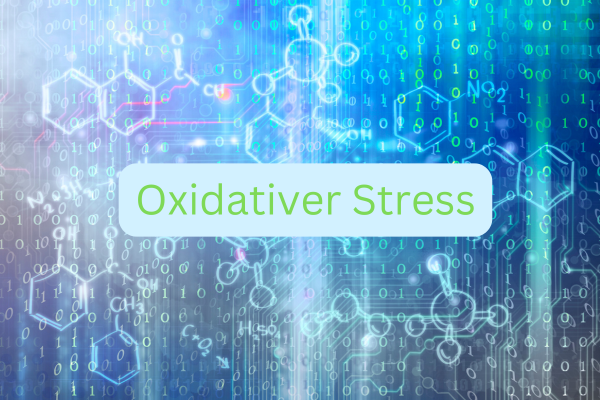 Oxidativer Stress: Was ist das überhaupt?