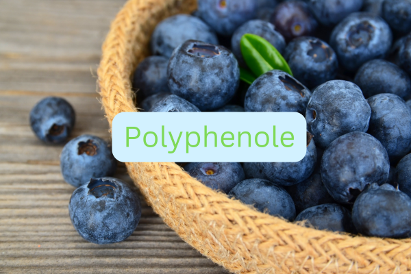 Polyphenole: Wirkung, Vorkommen und Wissenswertes