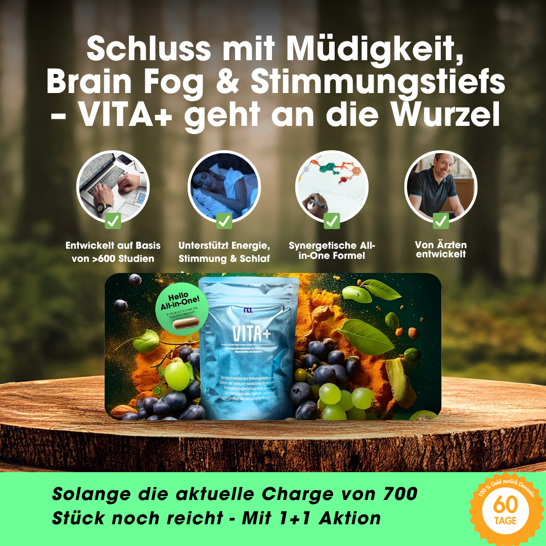 VITA+ All-in-One